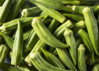 Lekovita bamija za bolju probavu i niži holesterol bamija