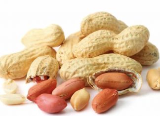 Kikiriki – kalorije, proteini, vitamini i blagotvornost po zdravlje kikiriki