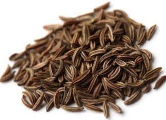 Začin kumin kao lek – upotreba za probavu, mršavljenje, čaj… kumin zacin